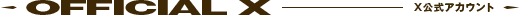 公式X